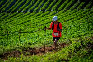 BIB: 
                            <button type="button" onclick="openModal(19161002)" class="btn btn-primary btn-sm float-right btn-popup" data-toggle="modal" data-target=".modal-high-quality">
                        <i class="fas fa-shopping-cart"></i> Add to Cart
                    </button>
                                            <button type="button" onclick="isThisMe(19161002, true)" class="btn btn-success btn-sm float-right btn-popup btn-isme hidden" data-toggle="tooltip" data-placement="bottom" title="นี่คือรูปของคุณใช่ไหม คลิกที่นี่เพื่อเอาเข้าอัลบั้ม">
                        <i class="fas fa-plus"></i> Add to album
                    </button>
                    <button type="button" onclick="isThisMe(19161002, false)" class="btn btn-warning btn-sm float-right btn-popup btn-isnotme hidden">
                        <i class="fas fa-ban"></i> Remove from album
                    </button>